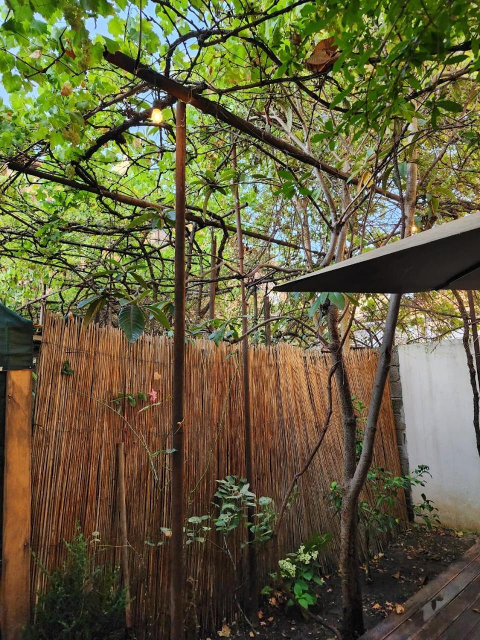 Vila 29A Тирана Екстериор снимка